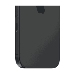 Thumbnail of image