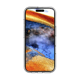 Thumbnail of image