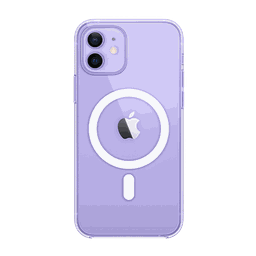 Thumbnail of image