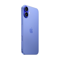 Thumbnail of image