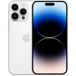 Thumbnail of image