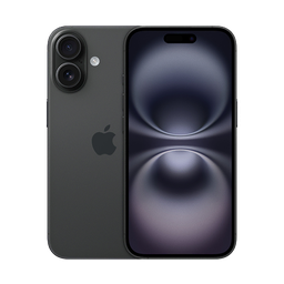 Thumbnail of image