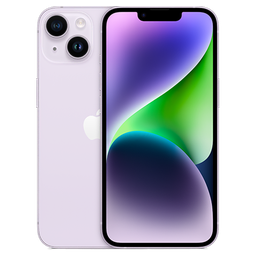 Thumbnail of image