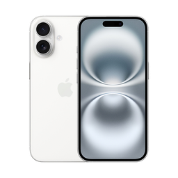 Thumbnail of image