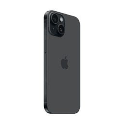 Thumbnail of image