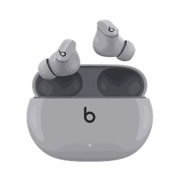 Thumbnail of image