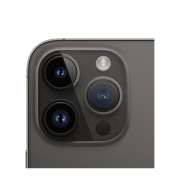 Thumbnail of image