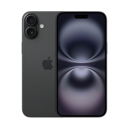 Thumbnail of image