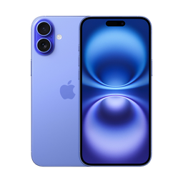 Thumbnail of image