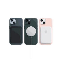 Thumbnail of image