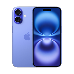 Thumbnail of image