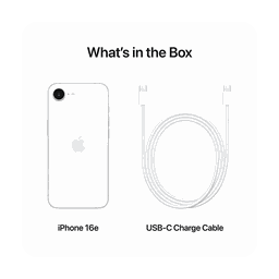 Thumbnail of image