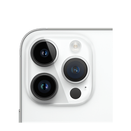 Thumbnail of image