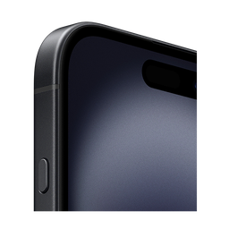 Thumbnail of image