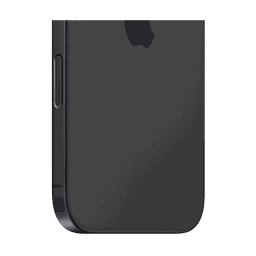 Thumbnail of image