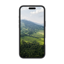 Thumbnail of image