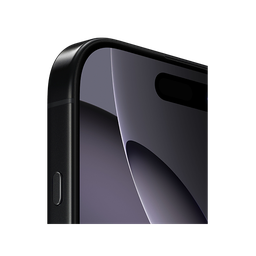 Thumbnail of image