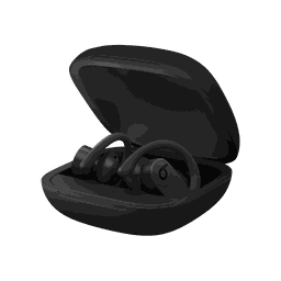 Thumbnail of image