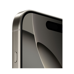 Thumbnail of image