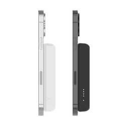 Thumbnail of image