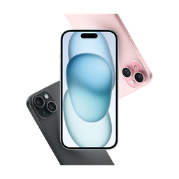 Thumbnail of image