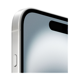 Thumbnail of image