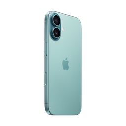 Thumbnail of image