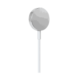 Thumbnail of image