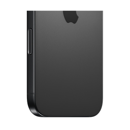 Thumbnail of image