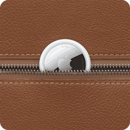 Thumbnail of image