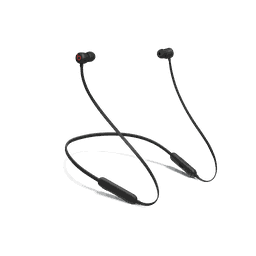 Thumbnail of image
