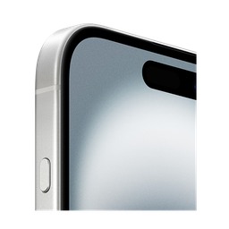 Thumbnail of image