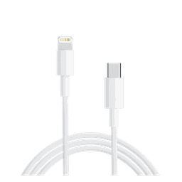 Thumbnail of image