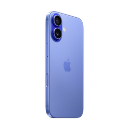 Thumbnail of image