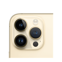 Thumbnail of image