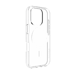 Thumbnail of image