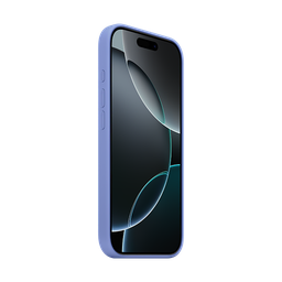 Thumbnail of image