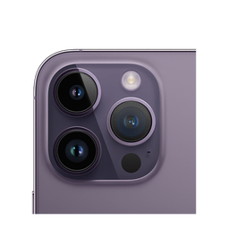 Thumbnail of image