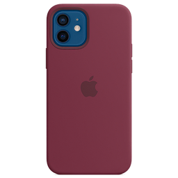 Thumbnail of image