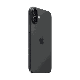 Thumbnail of image