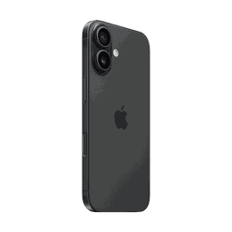 Thumbnail of image