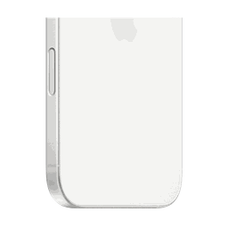Thumbnail of image