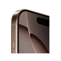Thumbnail of image
