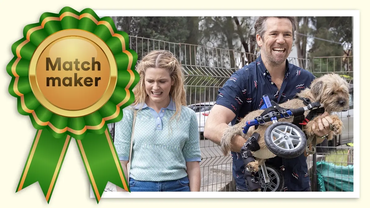 Colin: Best in Show for match maker.