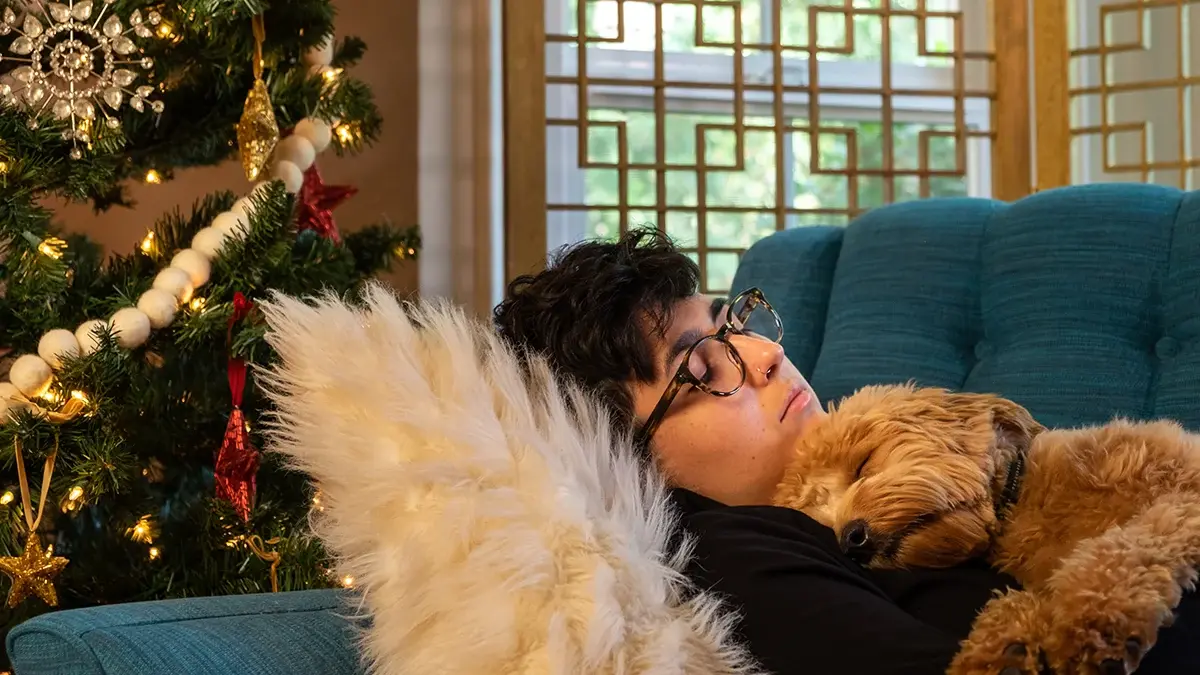 Give our hub time to wake up after a Christmas nap.