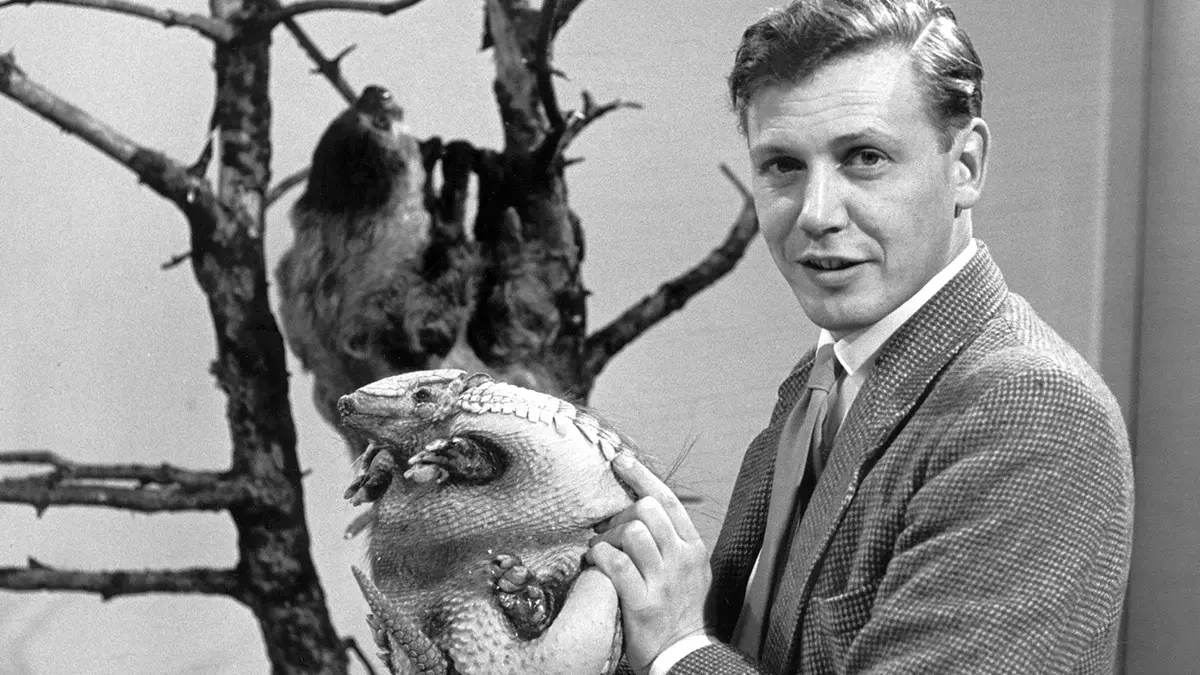 Here... we see the great man in Attenborough And Animals (1963), one of his earliest BBC nature series.