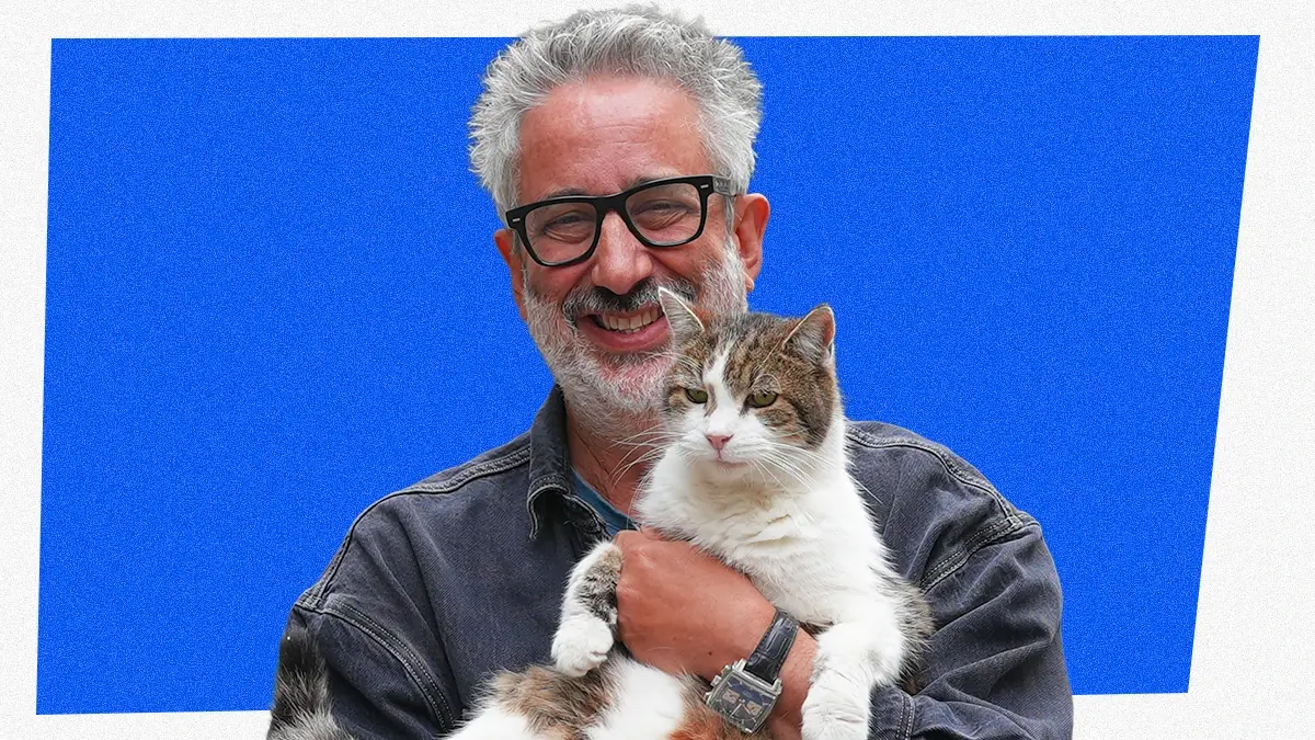 Stream David Baddiel: Cat Man in Apps > Channel 4.