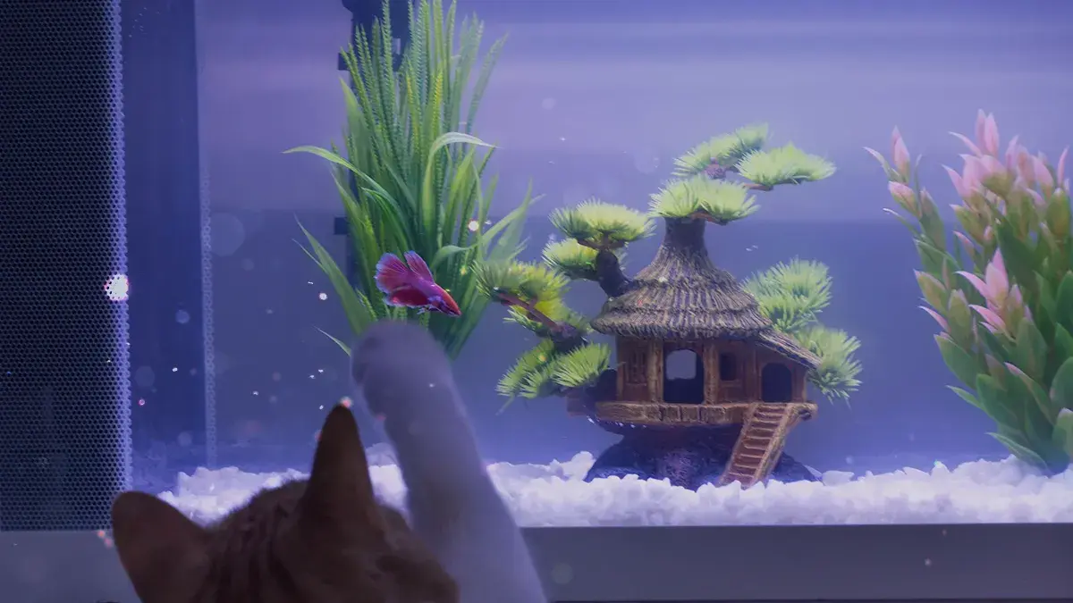 Our self-optimising Intelligent WiFi technology adapts to real homes.