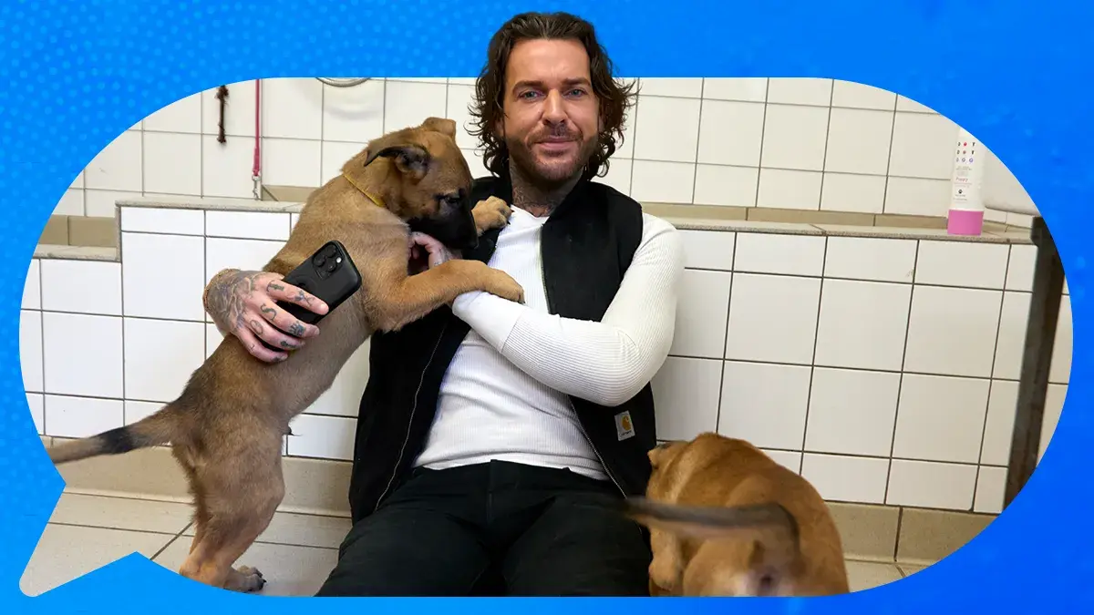 Stream all episodes of Pete Wicks: For Dogs’ Sake series 3 now in Apps > U or in U&W on demand.