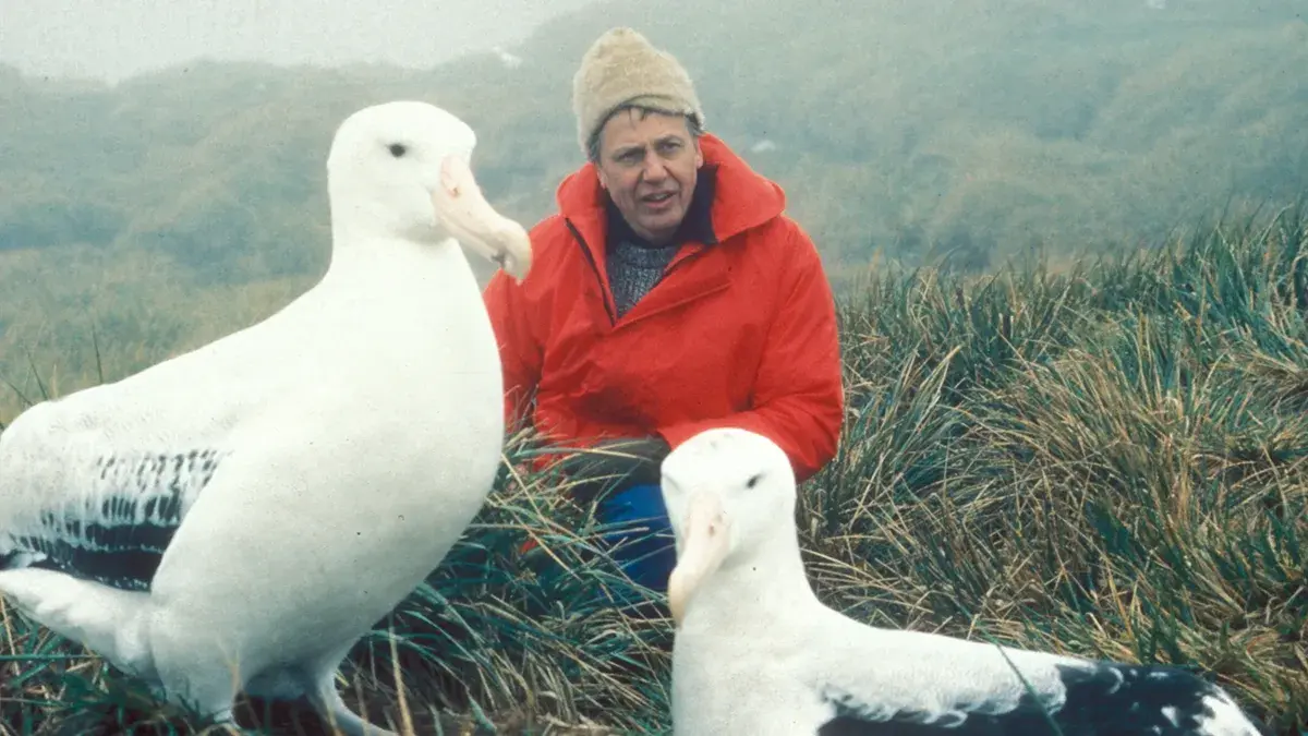 Stream David Attenborough’s 100 Years On Planet Earth in Apps > BBC iPlayer.